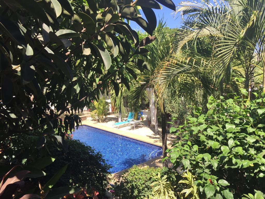 Hotel Flores (Adults Only) 塔马林多 外观 照片