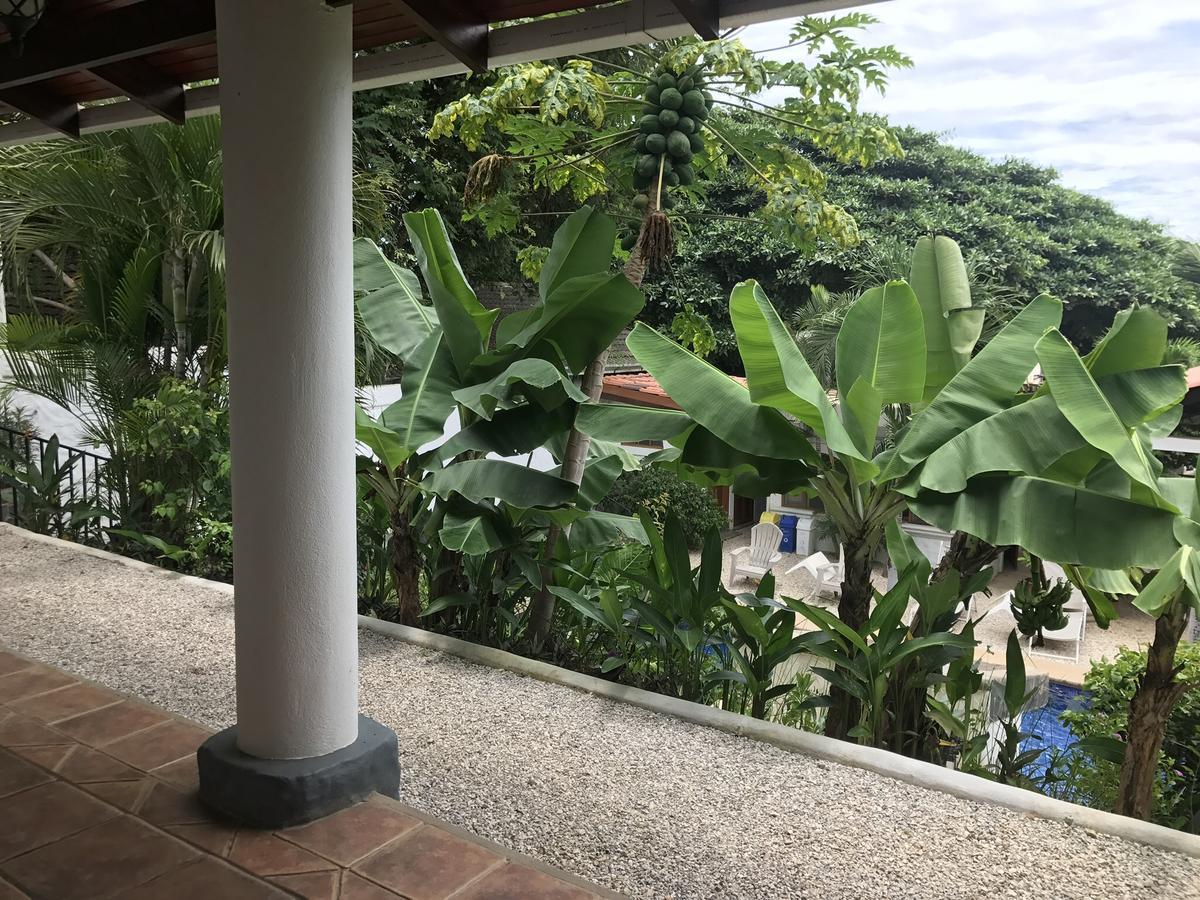 Hotel Flores (Adults Only) 塔马林多 外观 照片